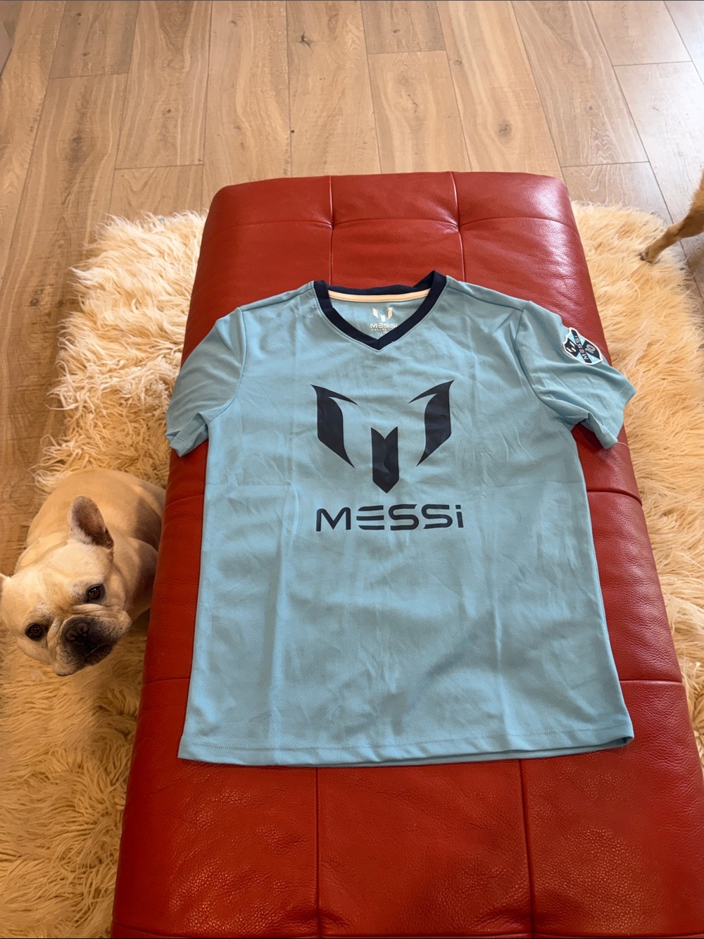 Lionel Messi Light Blue Logo Soccer jersey - size 12-14 boys